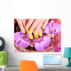 manicure and pedicure Wall Mural