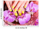 manicure and pedicure Wall Mural