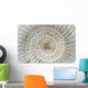 Perisphinctes, ammonite fossile, Madagascar Wall Mural