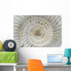 Perisphinctes, ammonite fossile, Madagascar Wall Mural