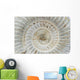 Perisphinctes, ammonite fossile, Madagascar Wall Mural