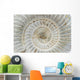 Perisphinctes, ammonite fossile, Madagascar Wall Mural