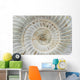 Perisphinctes, ammonite fossile, Madagascar Wall Mural