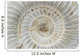Perisphinctes, ammonite fossile, Madagascar Wall Mural