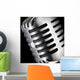 Chrome Microphone Wall Mural