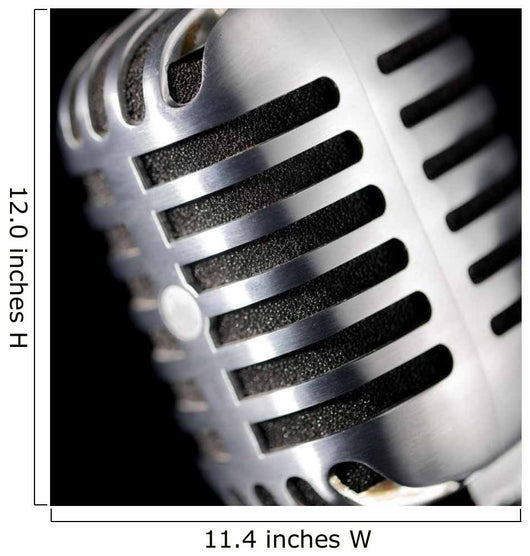 Chrome Microphone Wall Mural