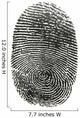Finger Print Wall Decal