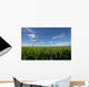 paddy field Wall Mural