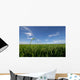 paddy field Wall Mural