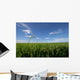 paddy field Wall Mural