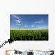 paddy field Wall Mural