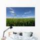 paddy field Wall Mural