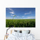 paddy field Wall Mural