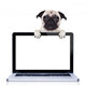 computer dog Wall Decal