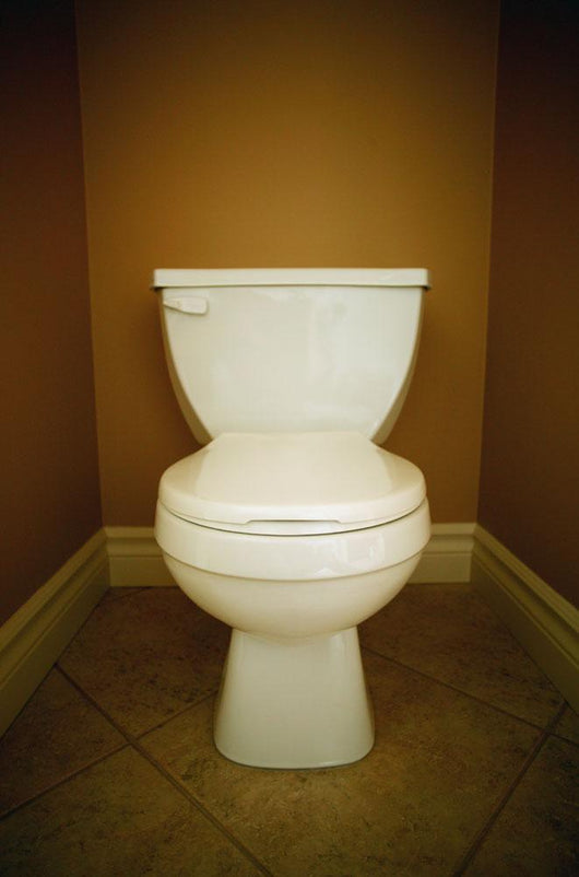 A Toilet Wall Mural