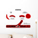 anemia diagram Wall Mural