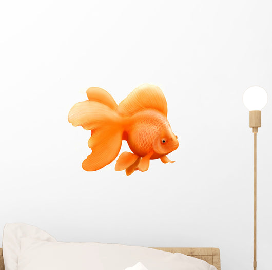 Japanese Ryukin Goldfish Wall Decal