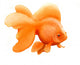 Japanese Ryukin Goldfish Wall Decal