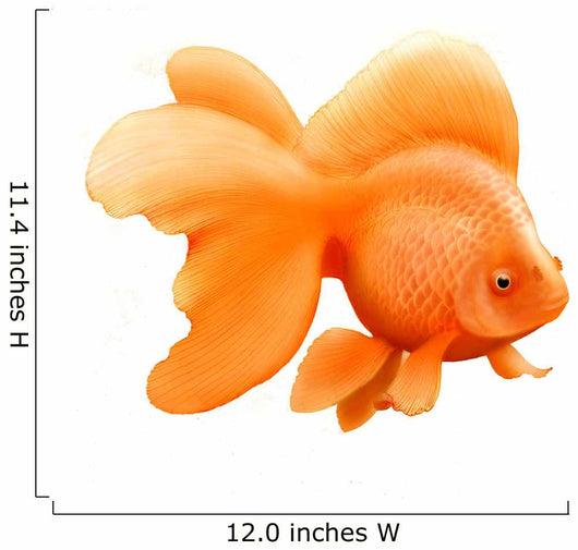 Japanese Ryukin Goldfish Wall Decal