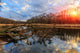 Evening Old Lake Wall Decal