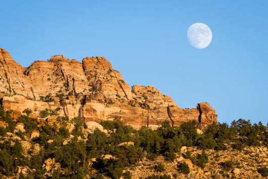 Rising Moon Wall Decal