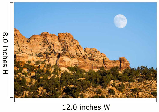 Rising Moon Wall Decal