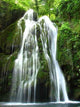 Waterfall Wall Decal