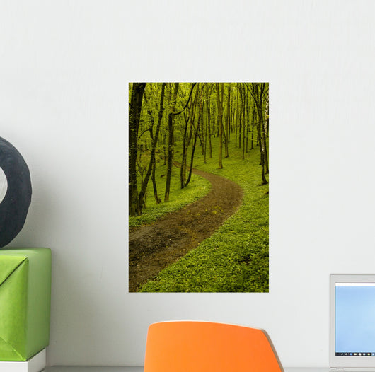 Path Spring Green Forest