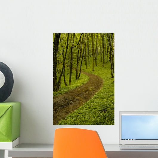 Path Spring Green Forest