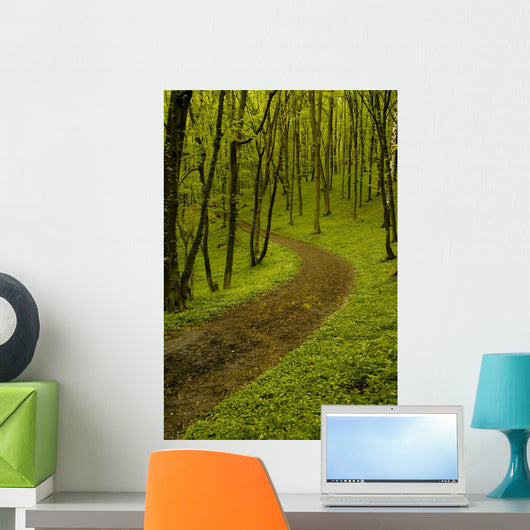 Path Spring Green Forest