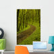 Path Spring Green Forest