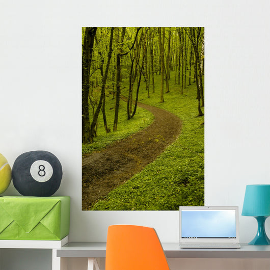 Path Spring Green Forest