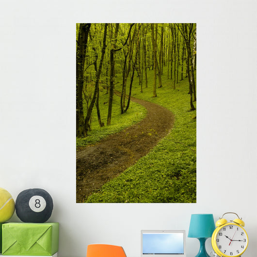 Path Spring Green Forest