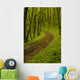 Path Spring Green Forest