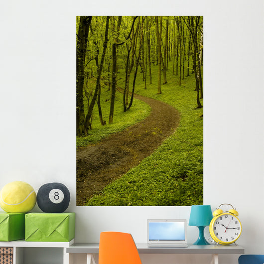 Path Spring Green Forest
