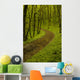 Path Spring Green Forest