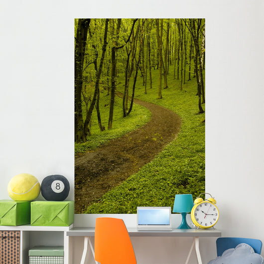 Path Spring Green Forest