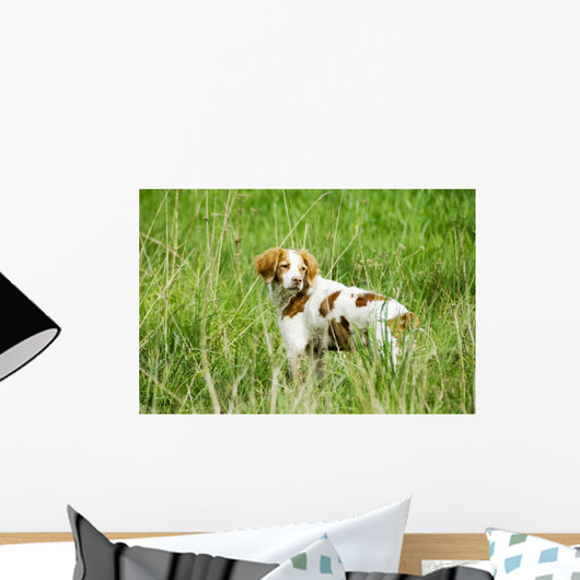 Adult Brittany002 Wall Mural