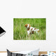 Adult Brittany002 Wall Mural