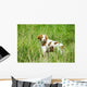 Adult Brittany002 Wall Mural