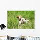 Adult Brittany002 Wall Mural