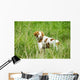 Adult Brittany002 Wall Mural