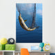 Trout in scoopnet. Wall Mural