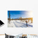 Cross-country skiing in Scandinavian winter landscape at sunset Wall Mural