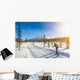 Cross-country skiing in Scandinavian winter landscape at sunset Wall Mural