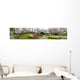 Keukenhof Panorama Holland Wall Mural