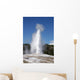 Old Faithful, Yellowstone National Park Wall Mural
