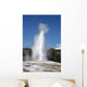 Old Faithful, Yellowstone National Park Wall Mural