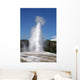 Old Faithful, Yellowstone National Park Wall Mural
