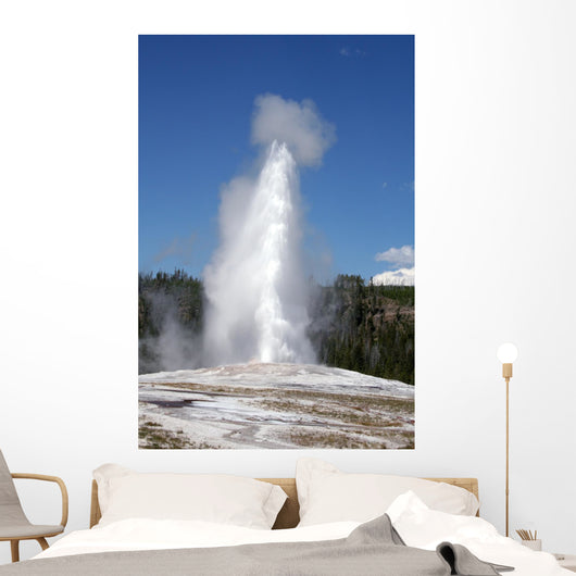 Old Faithful, Yellowstone National Park Wall Mural